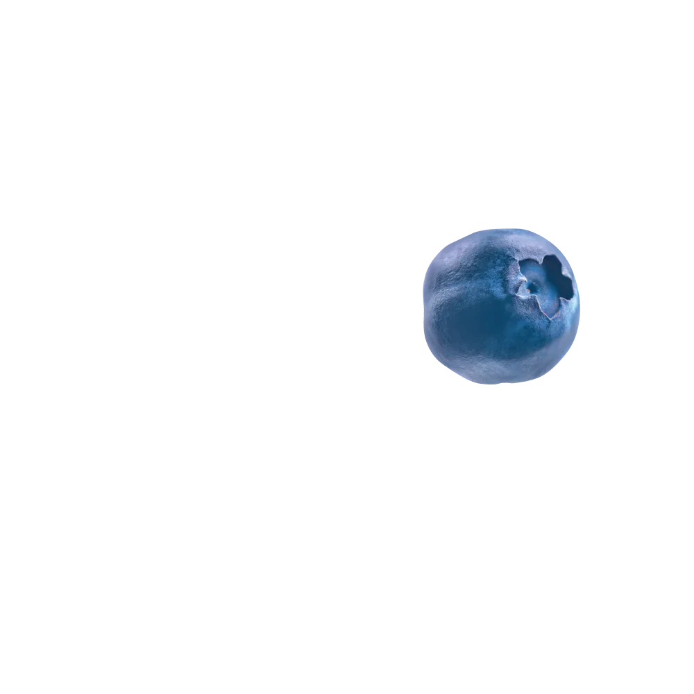 Blueberry decoration