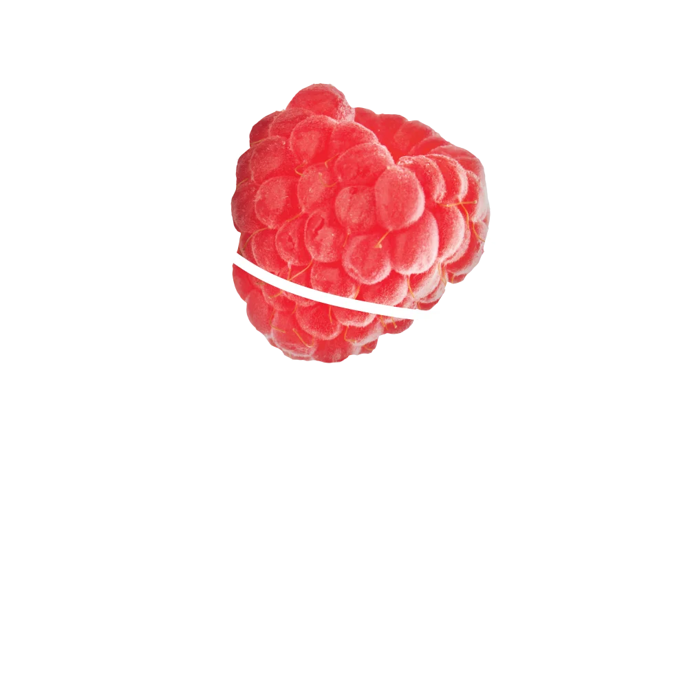 Red berry decoration